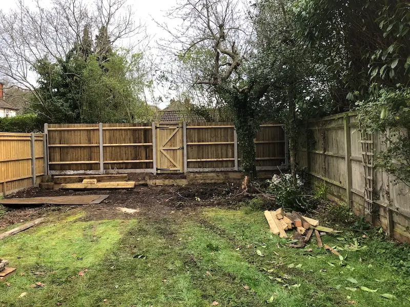 Garden before picture