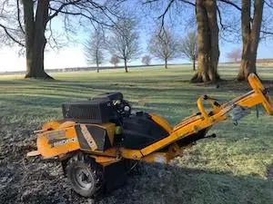 Stump removal services in Berkshire