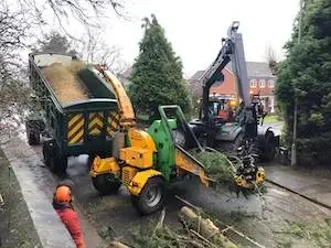 Tree services in Berkshire